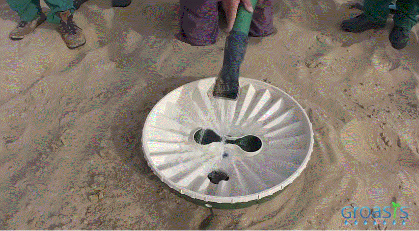 두바이 사막을 숲으로 바꾸고 있는 화분 | 인스티즈