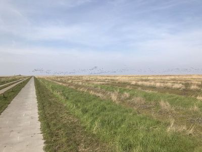 만조때 물에 잠기는 독일의 Hallig섬들 | 인스티즈