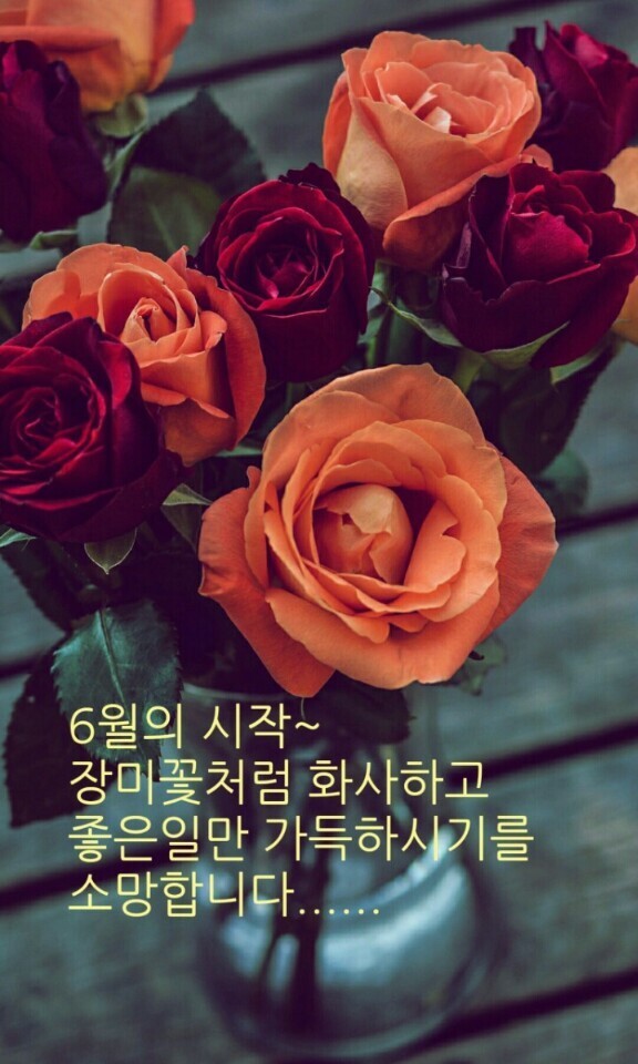 초록의계절 이미지