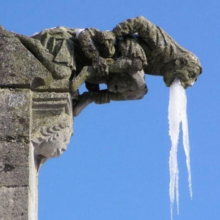 과음을 하면 안되는 이유 | 인스티즈