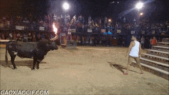 죽음을 자초하는 객기 | 인스티즈