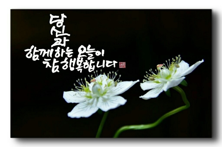 제일인사 이미지
