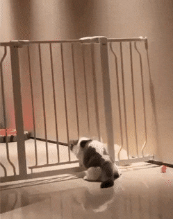 이정도쯤이야 통과하기 쉽지 | 인스티즈