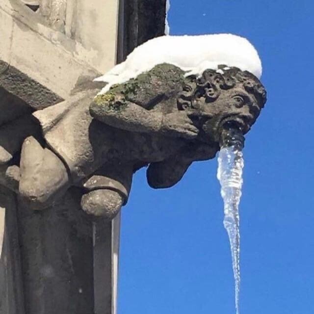 과음을 하면 안되는 이유 | 인스티즈