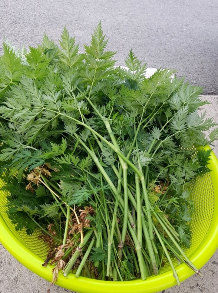 궁기 이미지