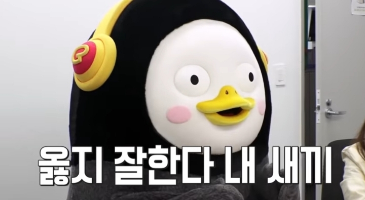놀이용 이미지