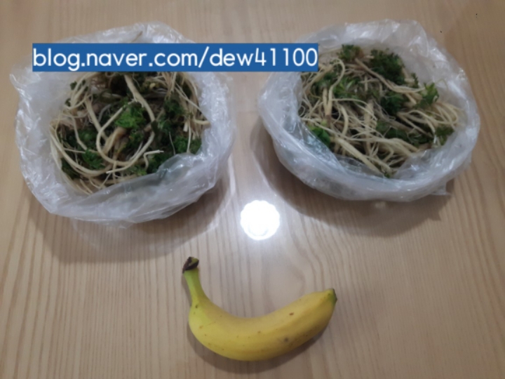 향기마트 이미지
