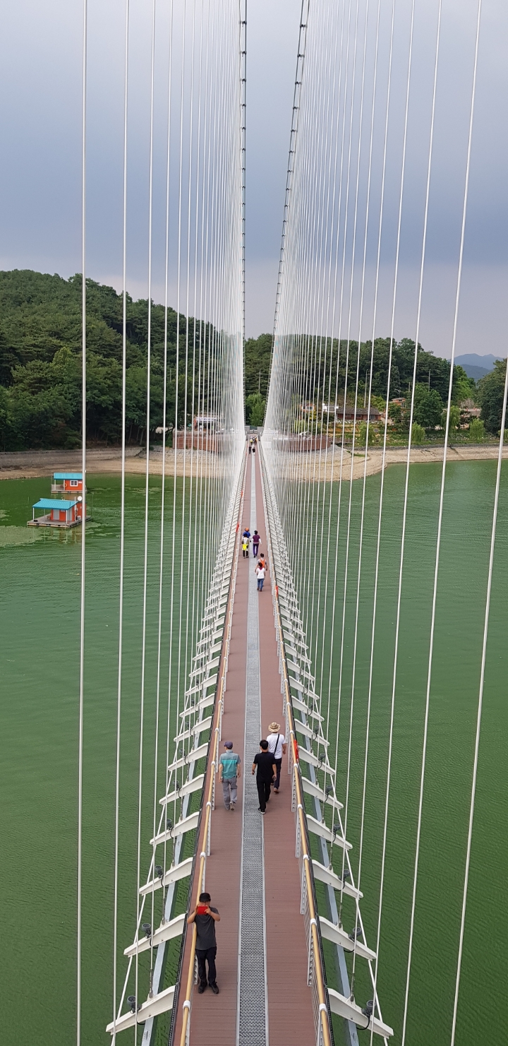 봉수산 예당호출렁다리 - 일반 게시판 - 백마산우회 봉수산 예당호출렁다리