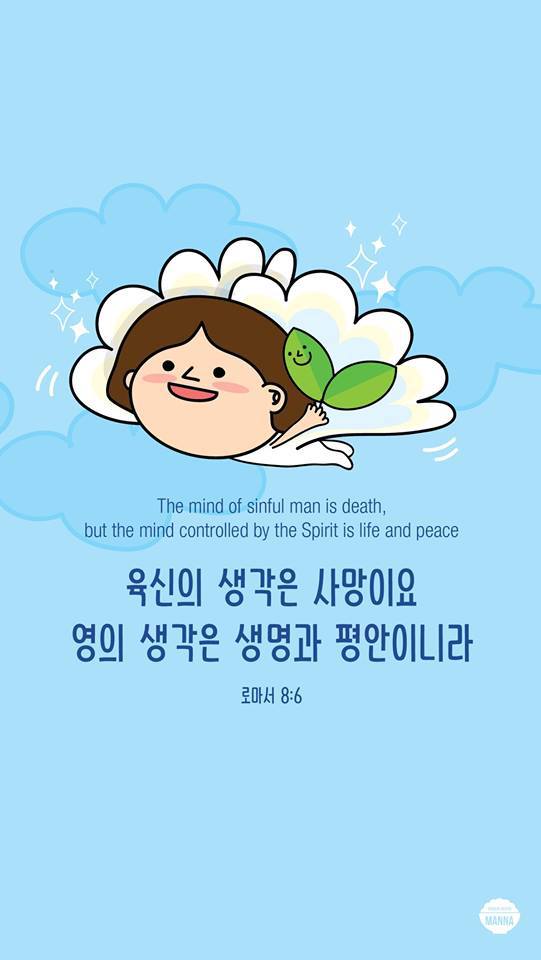 보물천국 이미지