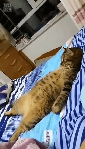 남자 아이돌 볼 때.gif | 인스티즈