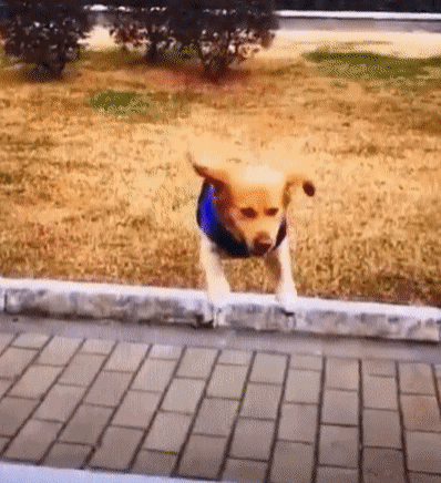 순간캡처의 위험.gif | 인스티즈