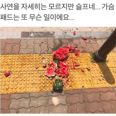 사연은 모르겠지만 대참사인건 확실하다.jpg | 인스티즈