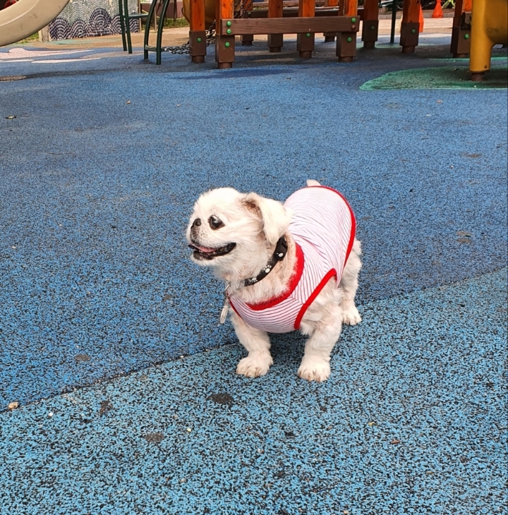 이쁜이이불 이미지