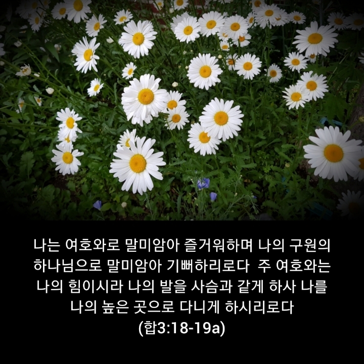 샬롬 이미지