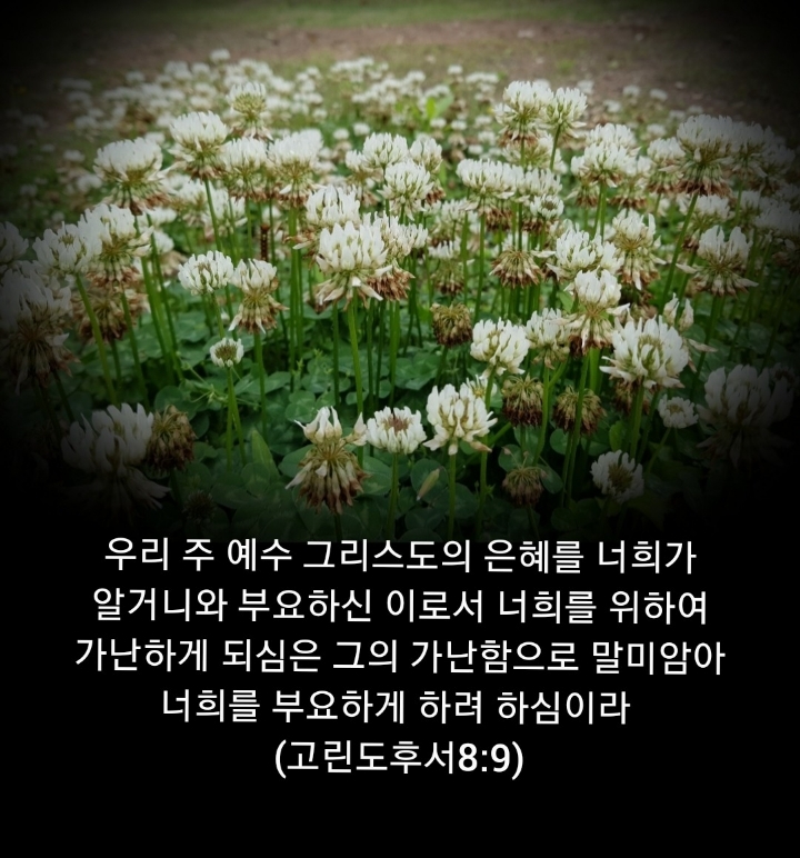 샬롬 이미지