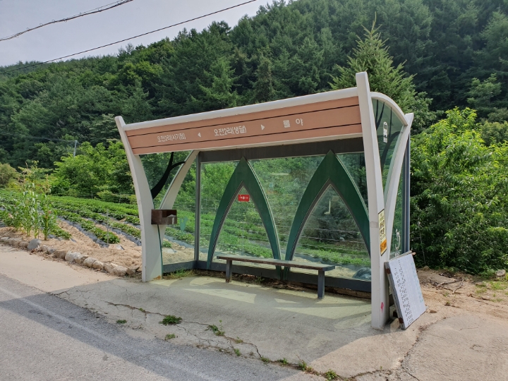 선달산캠핑장 이미지