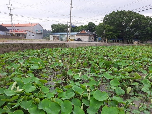 0ac83d91a8ba791cc7e3c40f618f8edbc775aff5