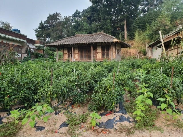 e70c6198d60cd043226b1a80c595279c00f6b584