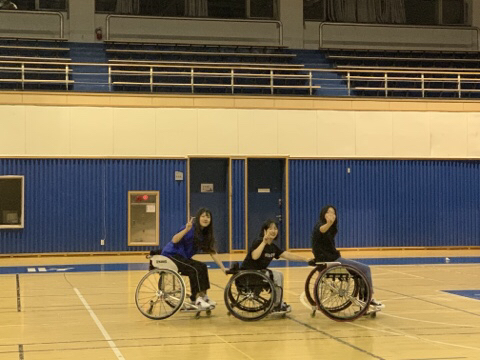 스센 이미지
