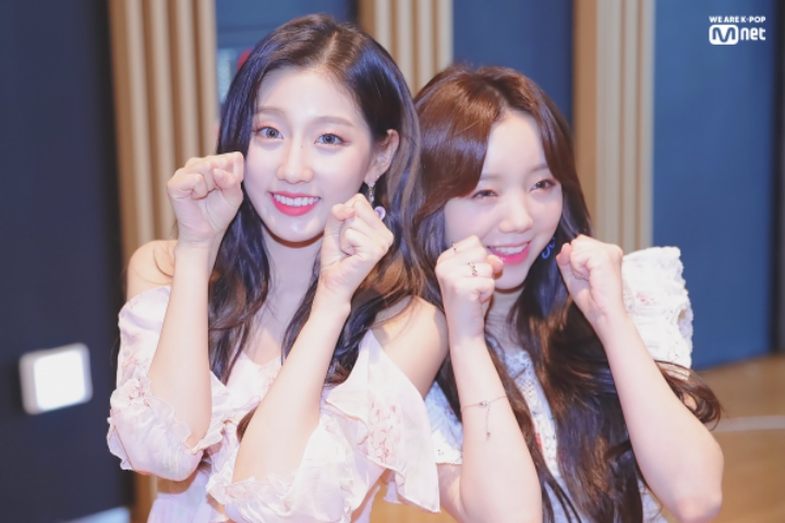 고란 이미지