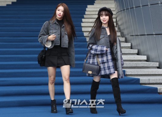 서로가 서로를 감당못하는 러블리즈 미주와 케이 | 인스티즈