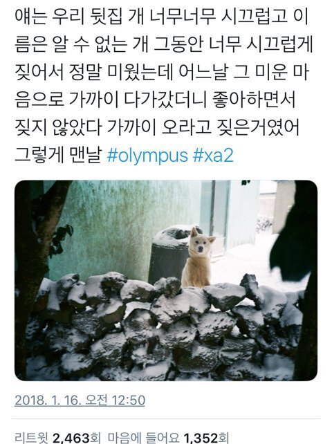 뒷집 이미지