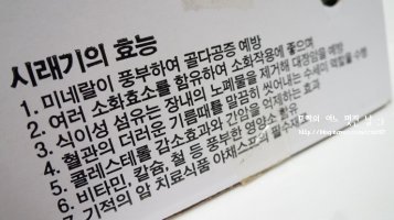 꽃자매 이미지