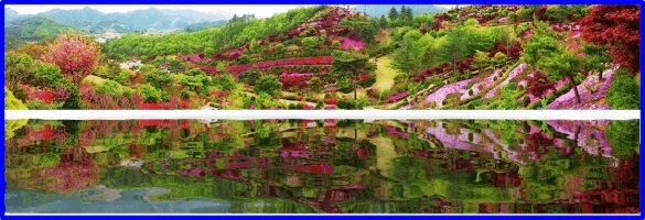 동산잔디 이미지