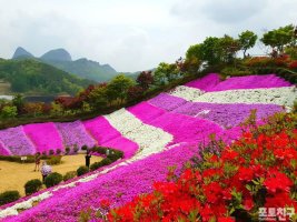 동산잔디 이미지