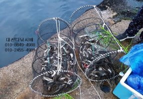 통발 이미지