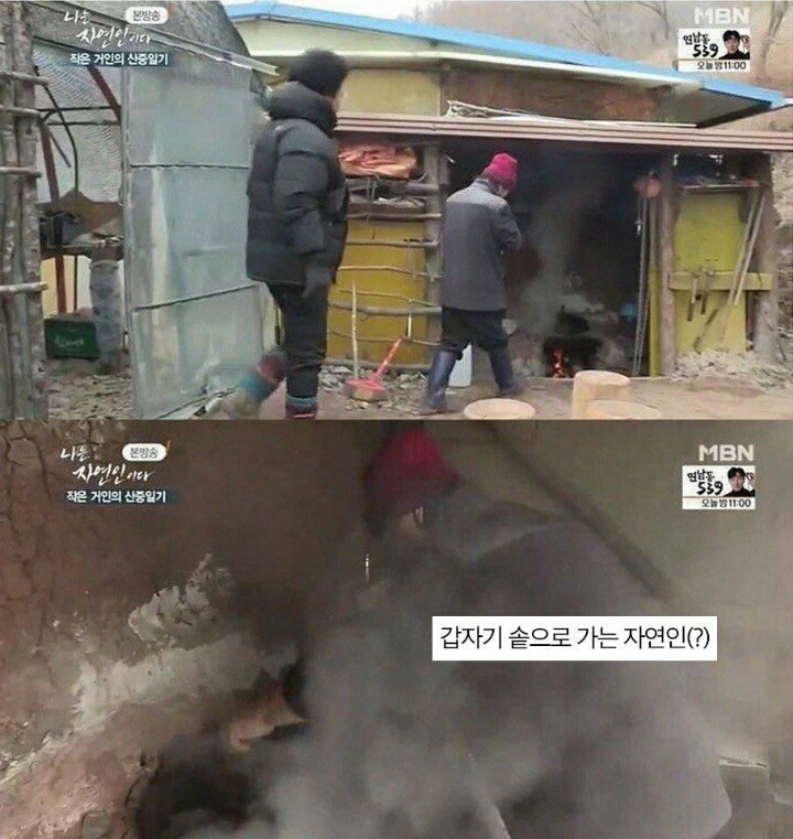 자연인에 나온 고양이.jpg | 인스티즈