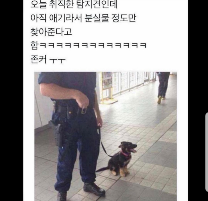 웃긴 일화 모음.jpg | 인스티즈