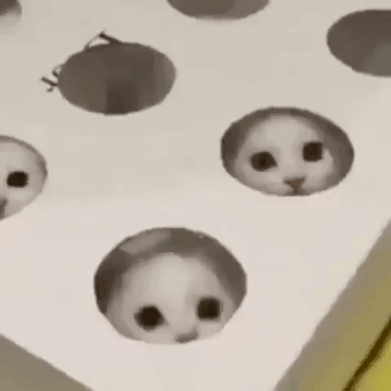 두더지 게임 업그레이드 버전.gif | 인스티즈