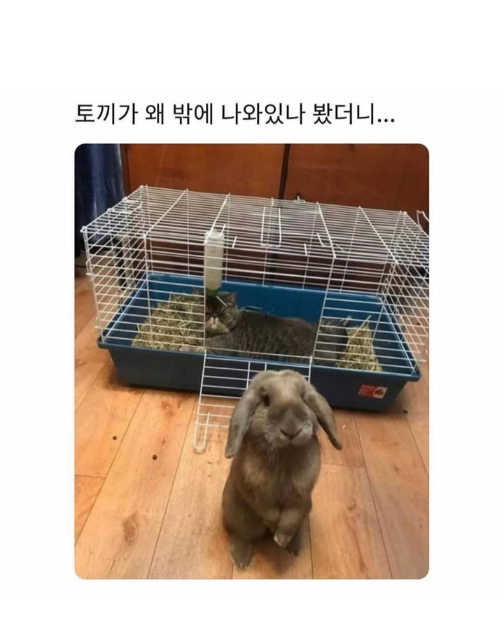 양으로 승부한다.jpg | 인스티즈