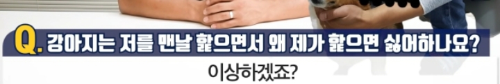 강아지는 저를 맨날 핥으면서 왜 제가 핥으면 싫어하나요? | 인스티즈