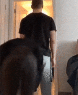 여친이랑 승마놀이 하는 짤.gif | 인스티즈