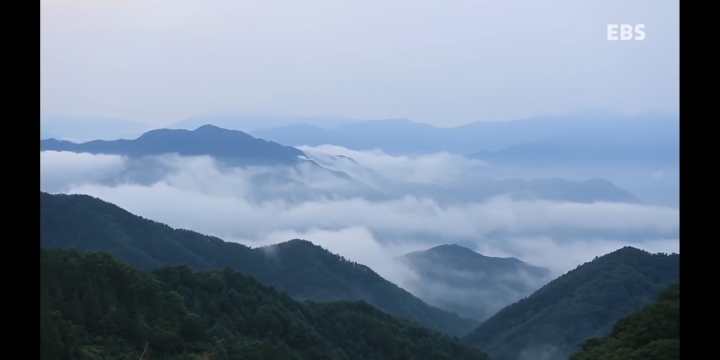 지리산에서 혼자 사는 스님이 일상적으로 보는 풍경 | 인스티즈