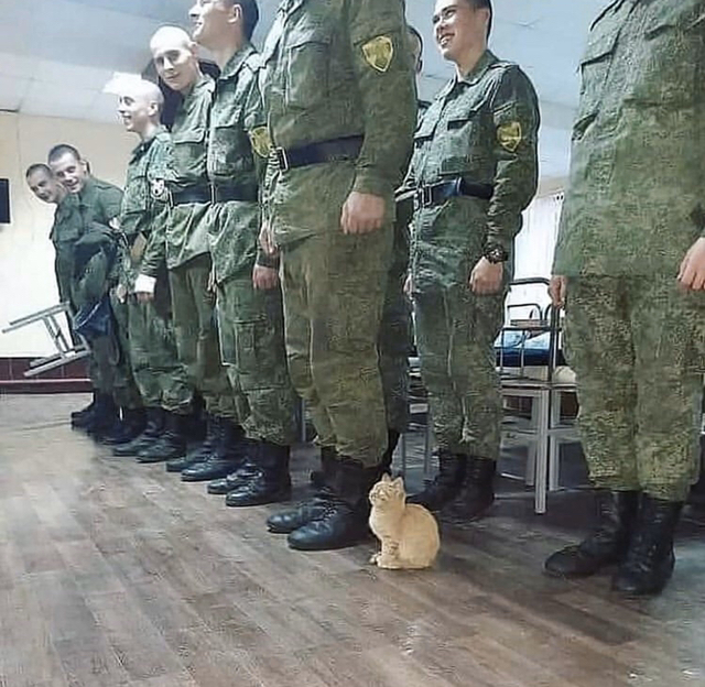 뭐지 나도 각 잡아야 해? | 인스티즈