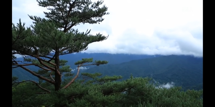 지리산에서 혼자 사는 스님이 일상적으로 보는 풍경 | 인스티즈