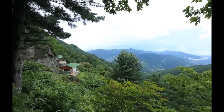 지리산에서 혼자 사는 스님이 일상적으로 보는 풍경 | 인스티즈