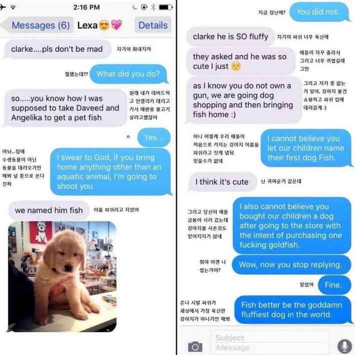 강아지 이름은 피쉬 | 인스티즈