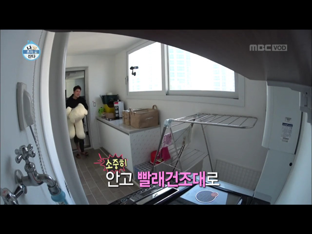 전현무 윌슨 목욕시키기 | 인스티즈