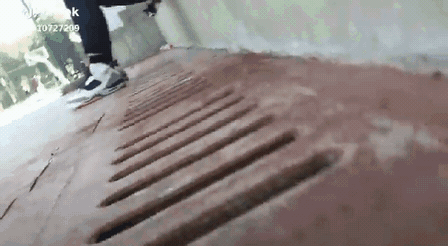 냥이 지하 세계 ㄷㄷㄷ | 인스티즈