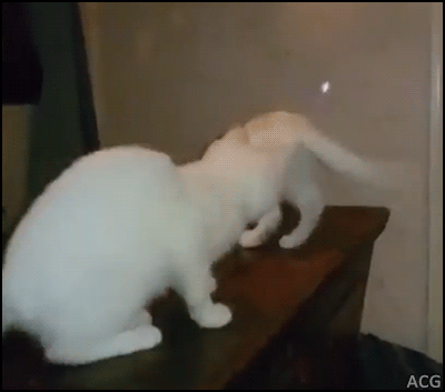 당할 수밖에 없는 놀이 | 인스티즈