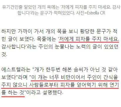 피자가게 앞 슬픈 눈의 강아지.. | 인스티즈