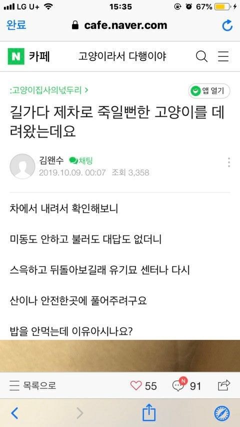 고양이를 데려 왔는데 밥을 안먹습니다.jpg | 인스티즈