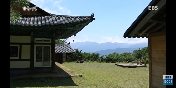 지리산에서 혼자 사는 스님이 일상적으로 보는 풍경 | 인스티즈