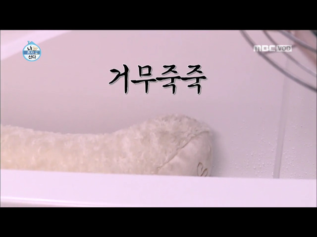 전현무 윌슨 목욕시키기 | 인스티즈