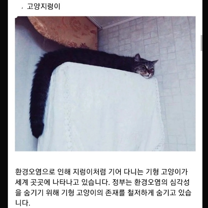 정부가 숨기는 동물의 비밀.jpg | 인스티즈