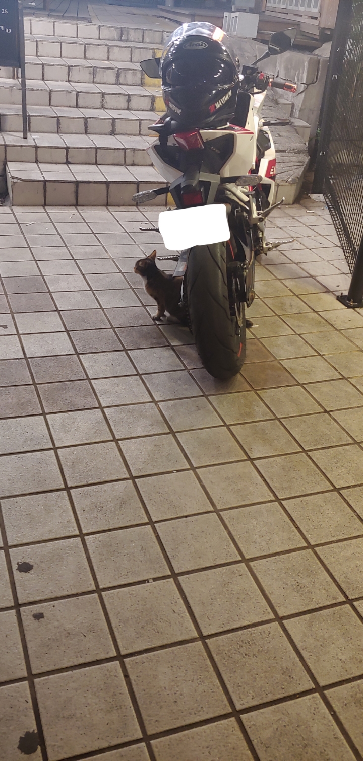 어느 평화로운 골목에 | 인스티즈